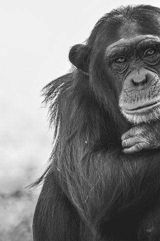 Interview avec APE