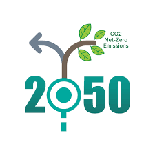 Net Zero 2050 : cap stratégique… ou illusion bien construite ?
